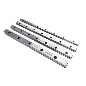 Carril guía